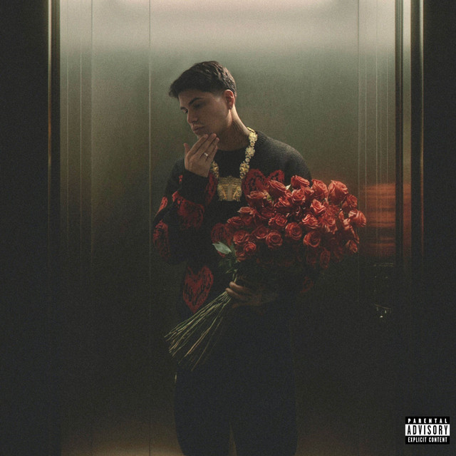 undefined album image