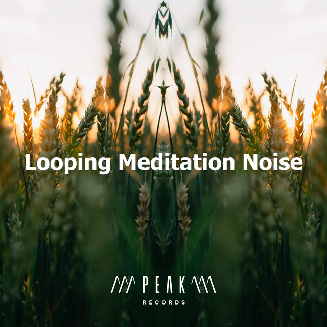 Looping Meditation Noise cover art