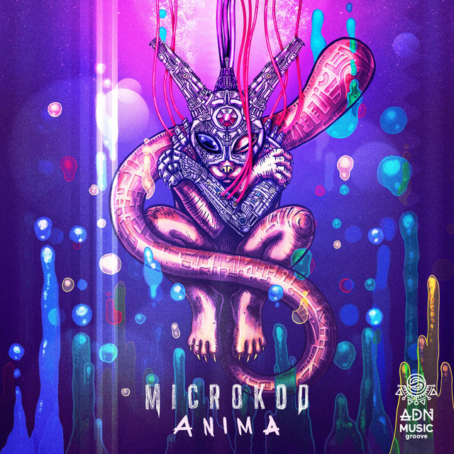 Anima cover art
