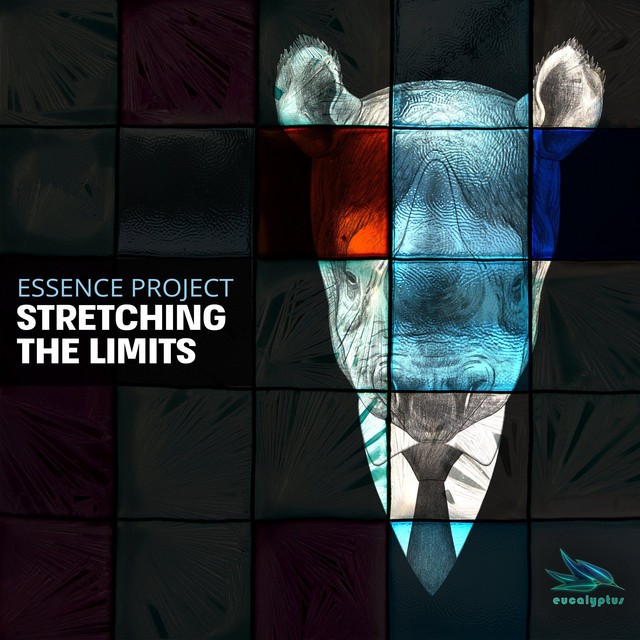 Stretching the Limits cover art