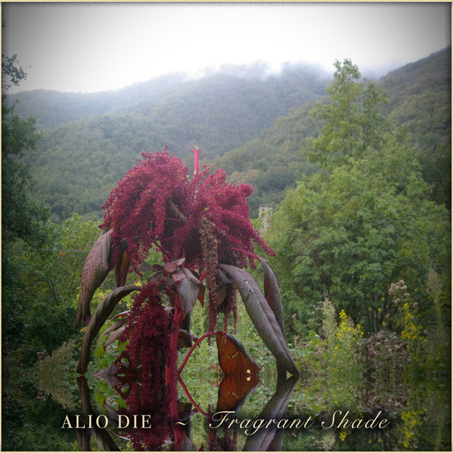 Fragrant Shade cover art