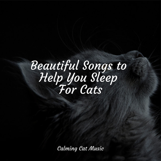 Beautiful Songs to Help You Sleep For Cats - Album by Jazz Music ...