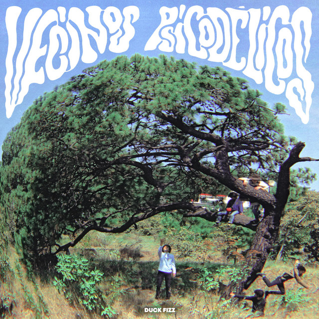 Vecinos Psicodélicos cover art