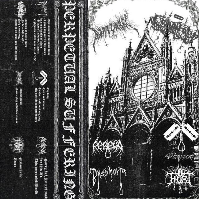 Perpetual Suffering (split) cover art
