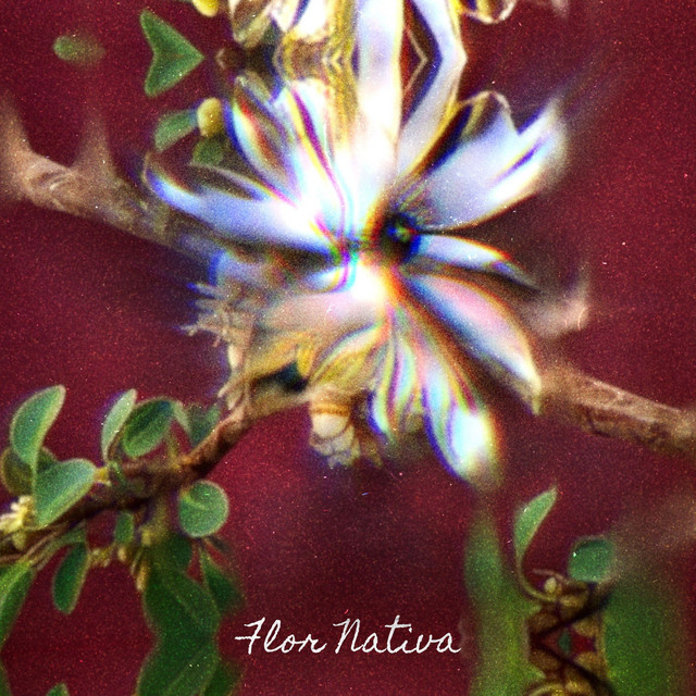 Flor Nativa