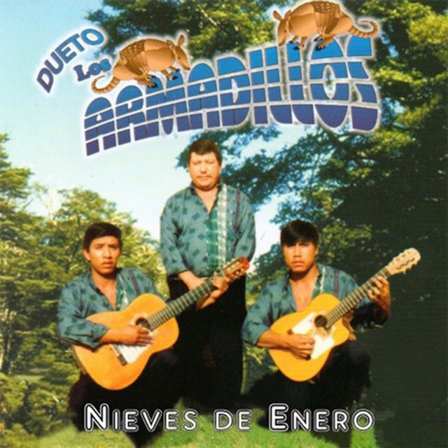 Bajen Jilgueros - song and lyrics by Dueto Los Armadillos | Spotify