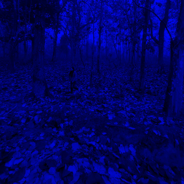 Afforest