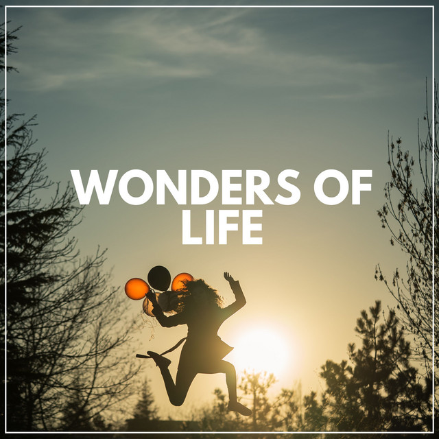 Wonders of Life cover art