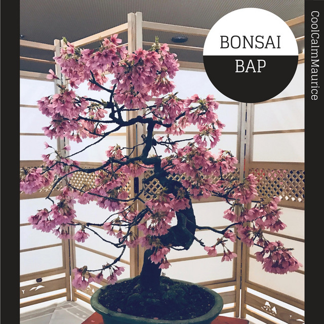 Bonsai Bap cover