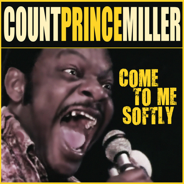 Come To Me Softly - 12 Mix cover art