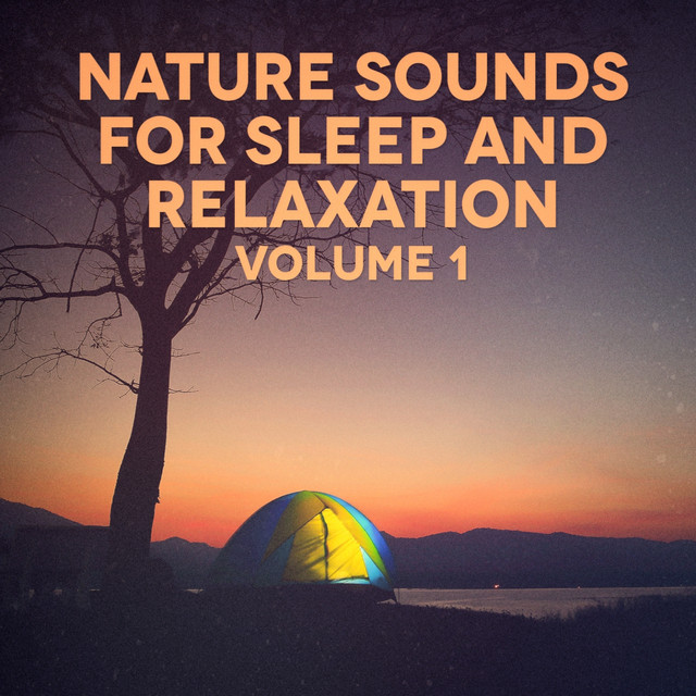 River Sounds: Winds accross a stream cover art