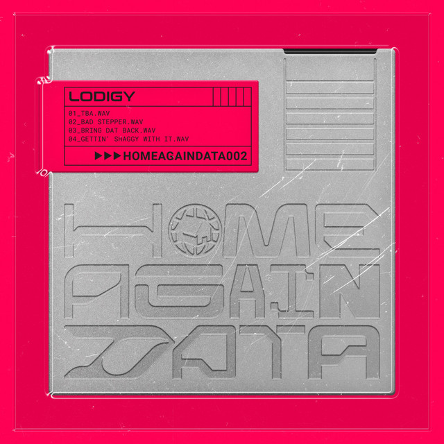 Home Again Data 02 cover art