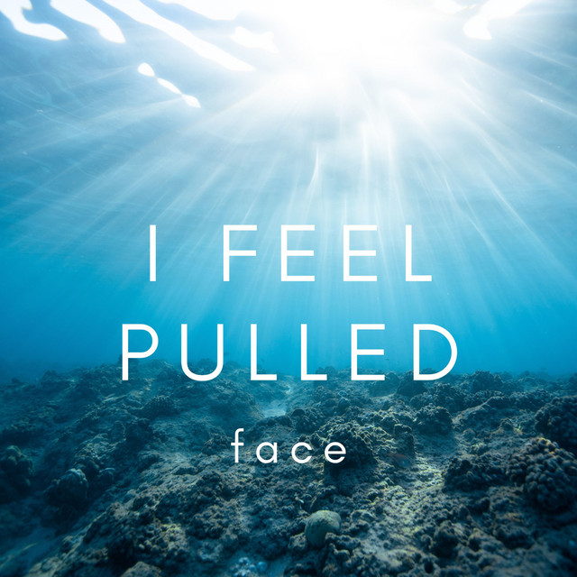 I Feel Pulled cover art