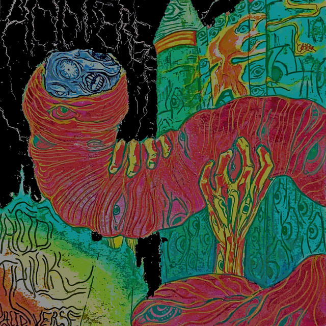 Acid Verse cover art