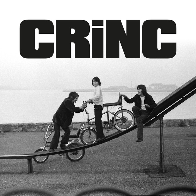 Cig Cymreig cover art