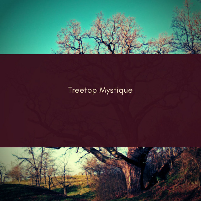 Treetop Mystique cover art