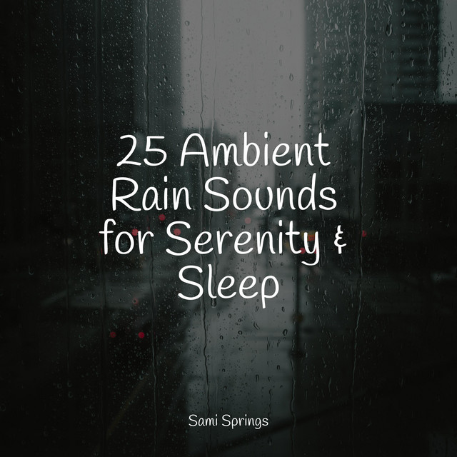 25 Ambient Rain Sounds for Serenity & Sleep - Album by Sound Healing ...