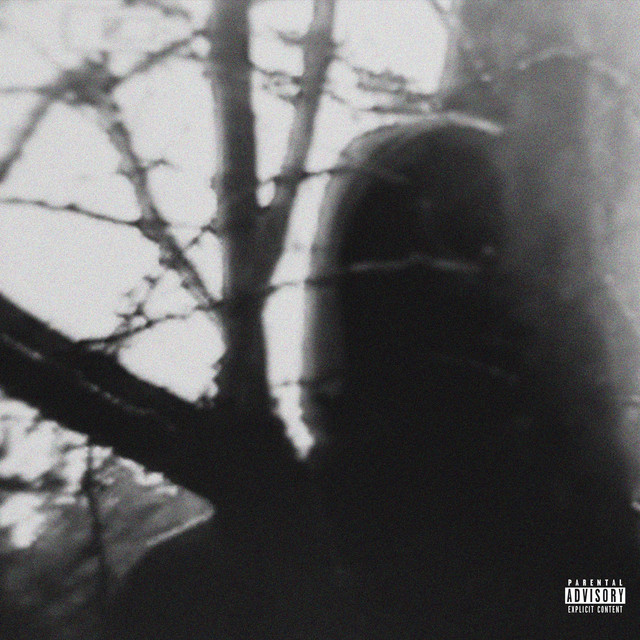 DIAMOND RUST cover art