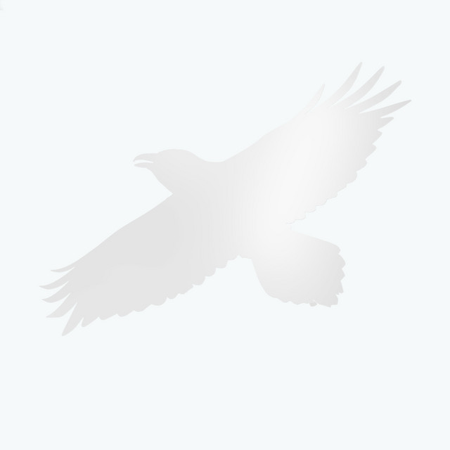 Dvergmál (with Steindór Andersen, Hilmar Örn Hilmarsson and María Huld Markan Sigfúsdóttir) (single)