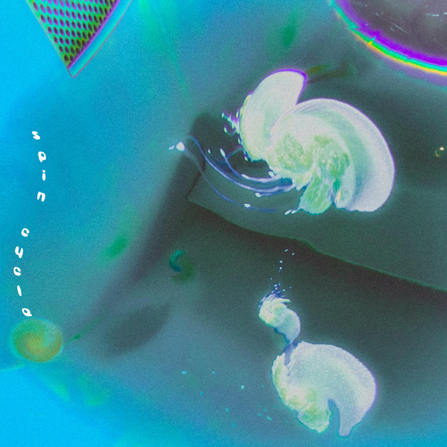Spin Cycle cover art