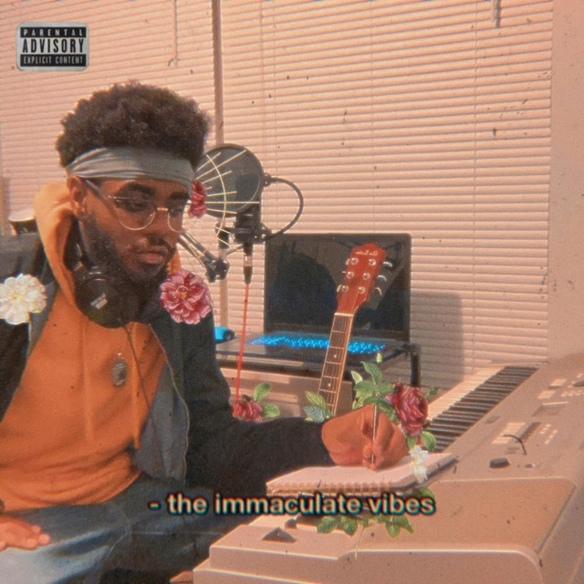 - the immaculate vibes cover art
