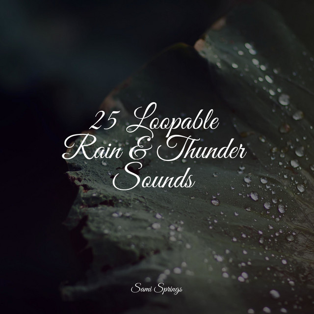 25 Loopable Rain & Thunder Sounds - Album by The Sleep Specialist | Spotify