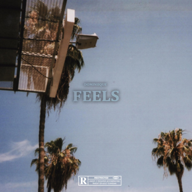 FEELS cover art