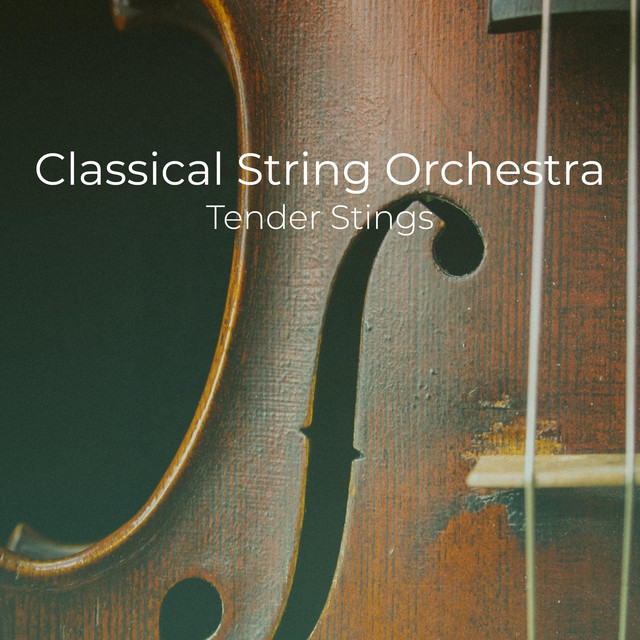 Classical String Orchestra Tender Strings - Album by Christoph ...