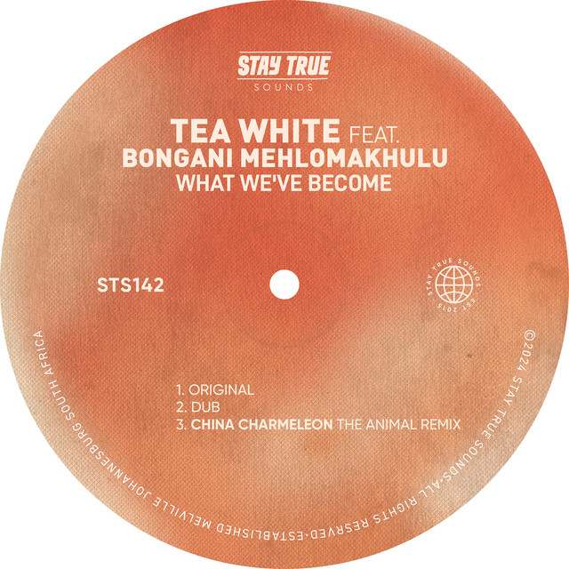What We’ve Become (feat. Bongani Mehlomakhulu) cover art