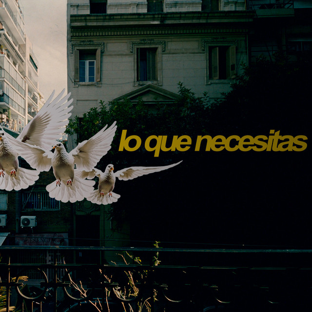 Lo que necesitas