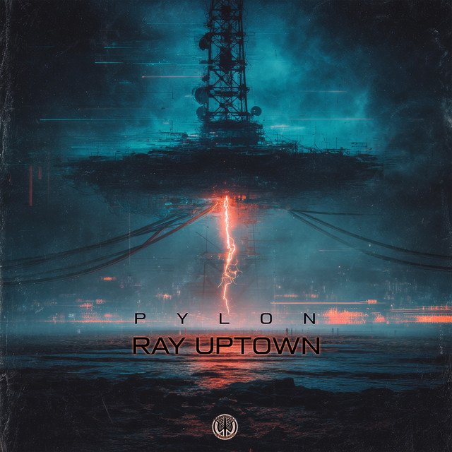 Pylon cover
