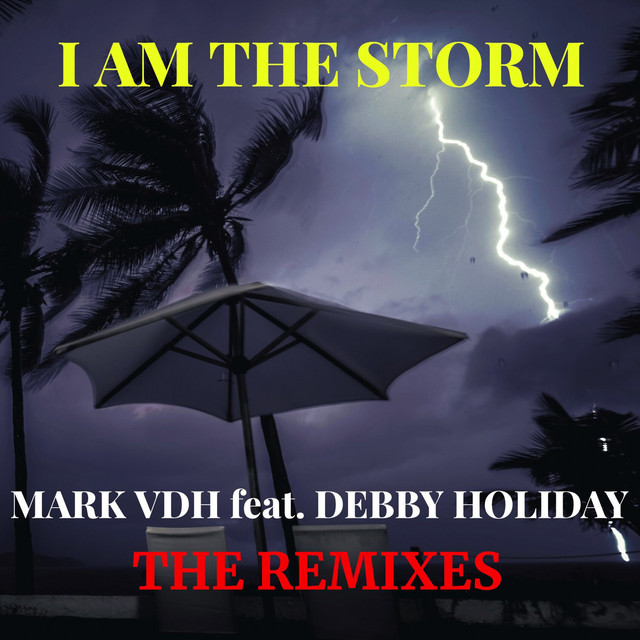I Am the Storm - RANNY MIX cover art