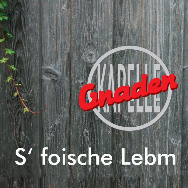 S'foische Lebm cover