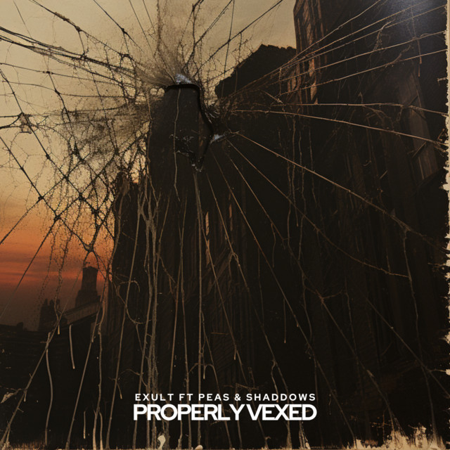 Properly Vexed album art