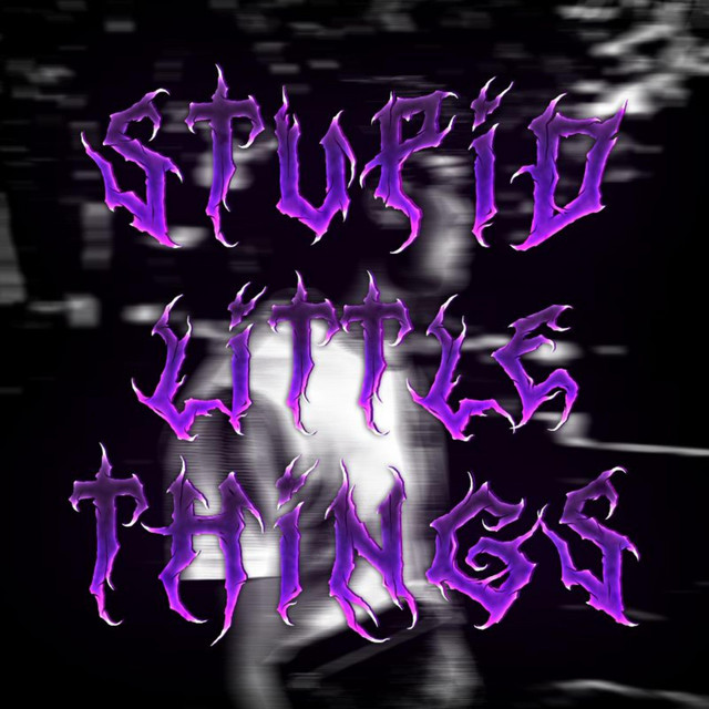 Stupid Little Things cover art