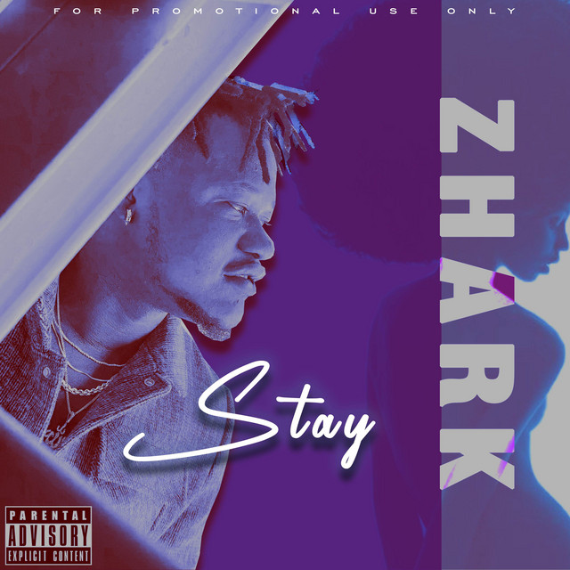 Stay cover