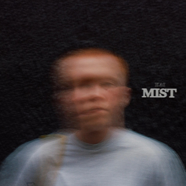 Mist cover art
