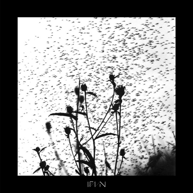 Bloom & Wither (Collaboration Album) cover art