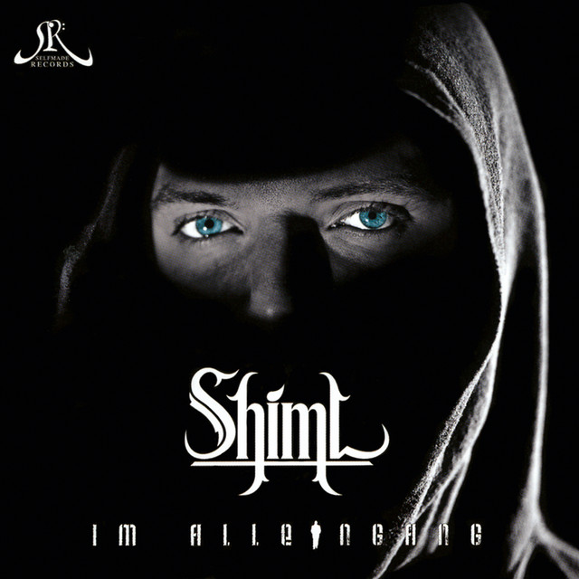 Im Alleingang cover art