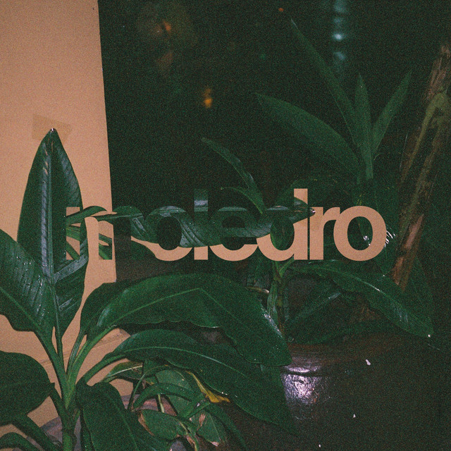 Riko cover art