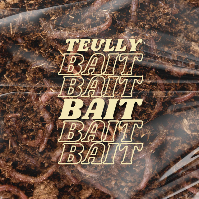 Bait cover art