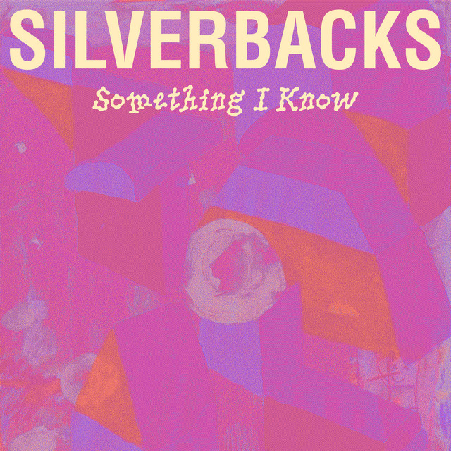Silverbacks | Artist profile | Dork