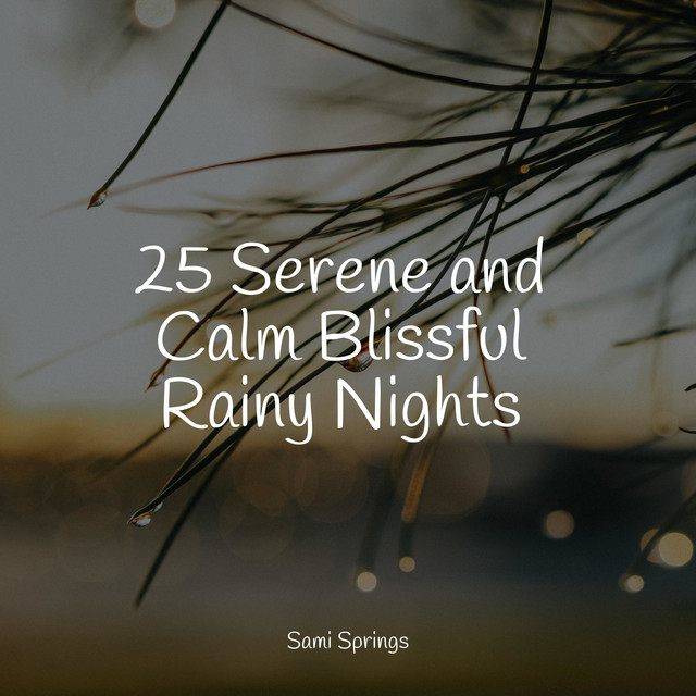 25 Serene and Calm Blissful Rainy Nights - Album by Rain Sounds For ...