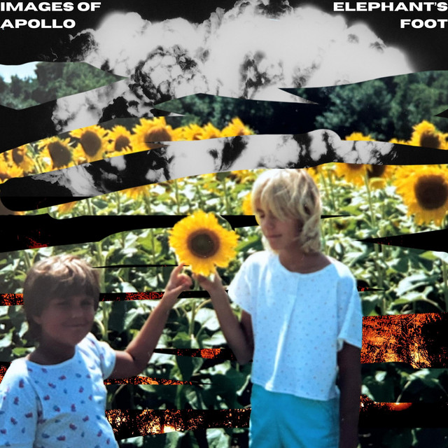 Elephant's Foot cover art