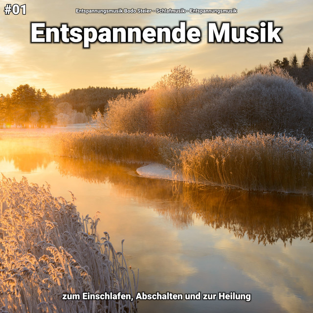 Entspannende Musik, Pt. 19 - song and lyrics by Entspannungsmusik Bodo ...