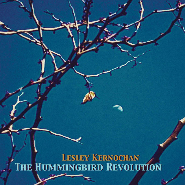 The Hummingbird Revolution cover art