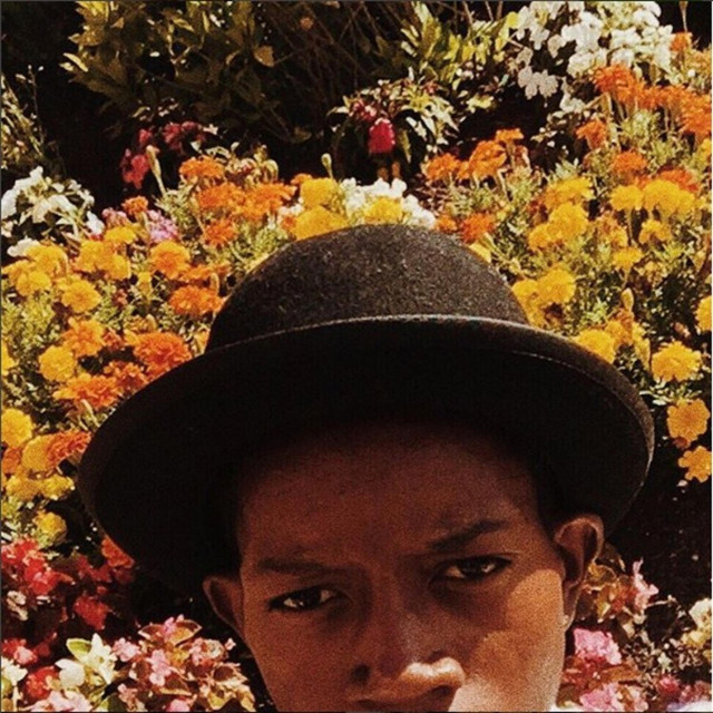 Iwyboft cover art