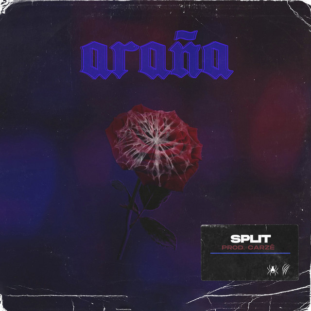 Araña cover art
