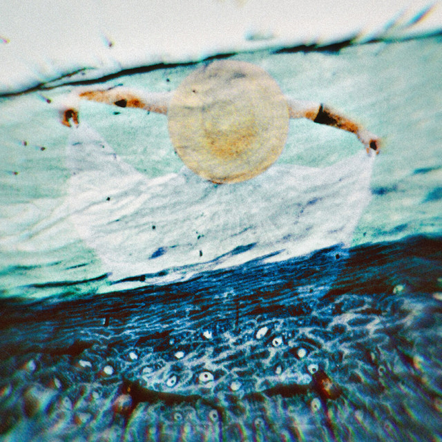 pelos pelos pelos cover art
