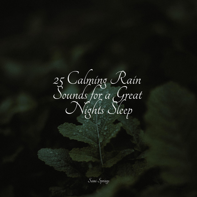 25 Calming Rain Sounds for a Great Nights Sleep - Album by Musica Para ...